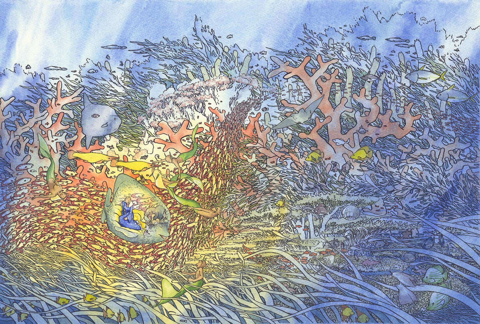 A-Princesa-nos-Corais